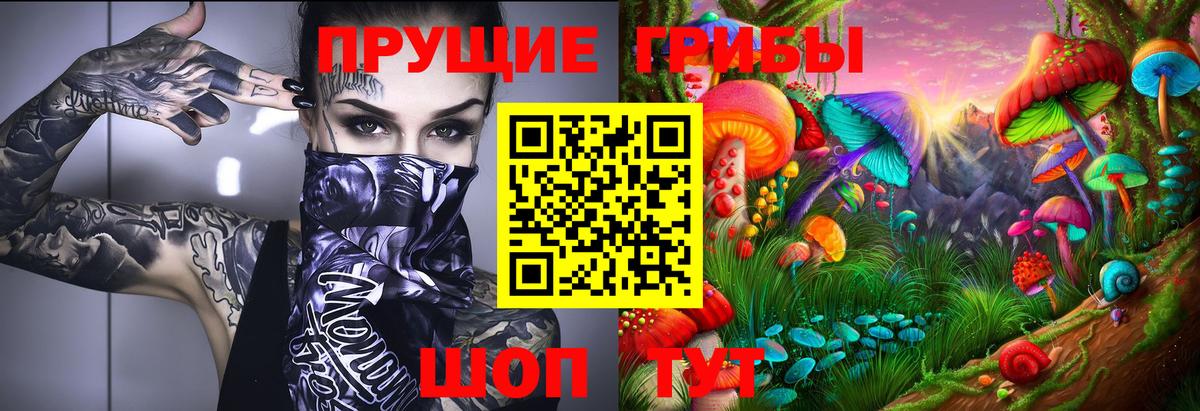 Псилоцибиновые грибы GOLDEN TEACHER  Вход с VPN  где найти наркотики  Клин 