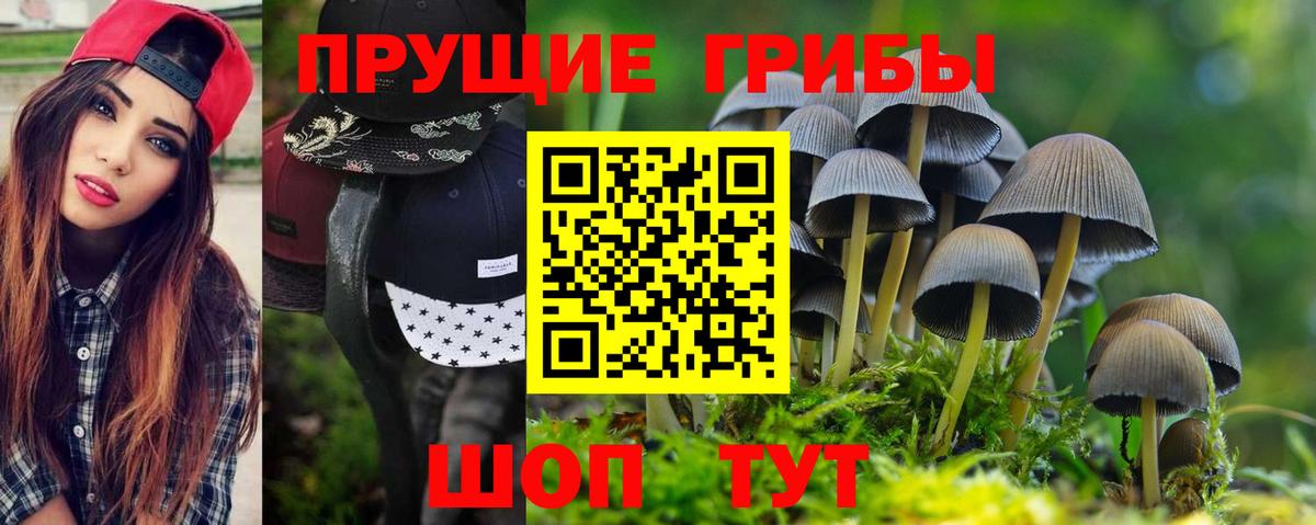 Галлюциногенные грибы мицелий Клин
