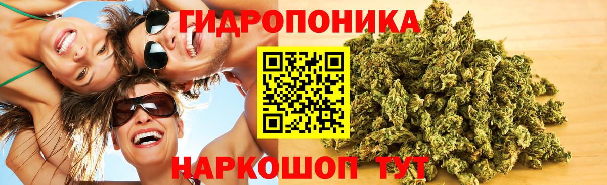 МАРИХУАНА индика Клин